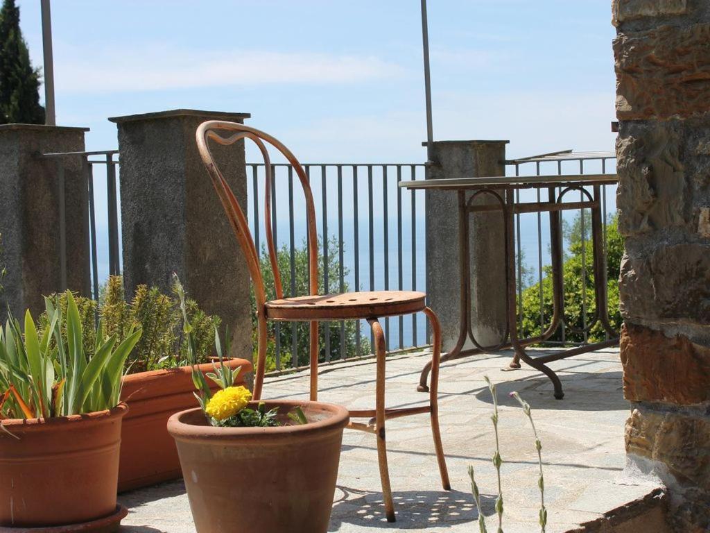 Cottage La Casa Del Pittore Reggimonti Ngoại thất bức ảnh