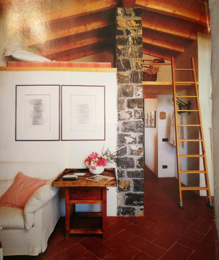 Cottage La Casa Del Pittore Reggimonti Ngoại thất bức ảnh