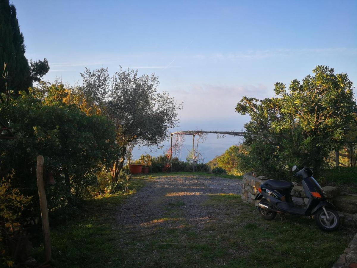 Cottage La Casa Del Pittore Reggimonti Ngoại thất bức ảnh