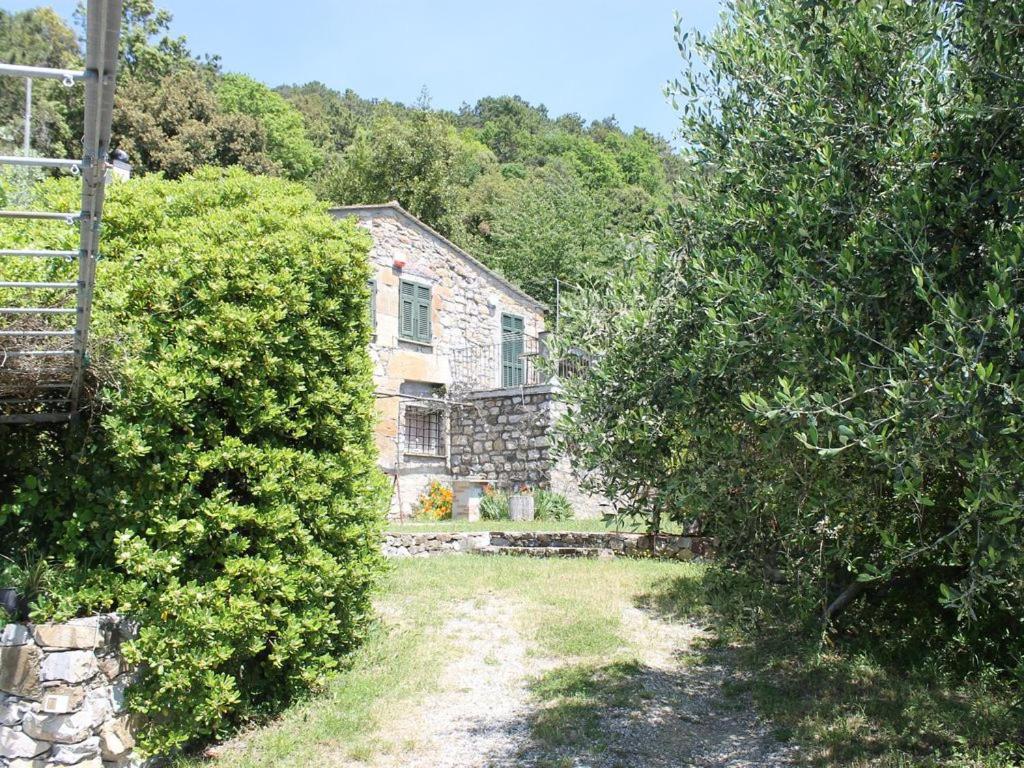 Cottage La Casa Del Pittore Reggimonti Ngoại thất bức ảnh