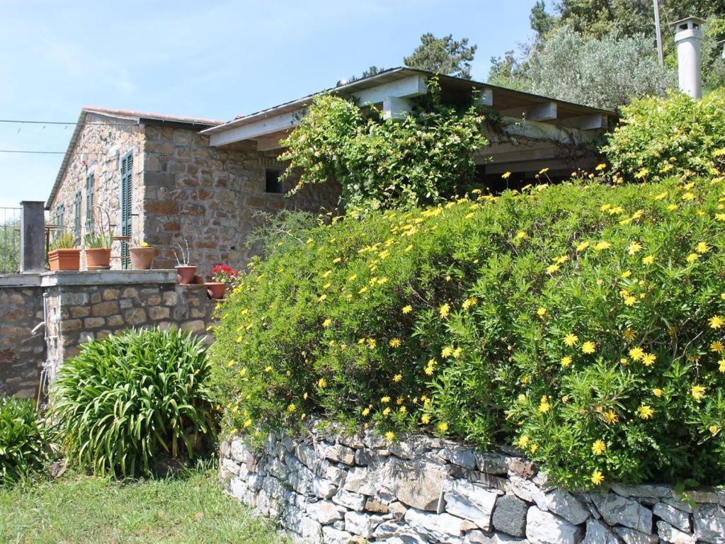 Cottage La Casa Del Pittore Reggimonti Ngoại thất bức ảnh